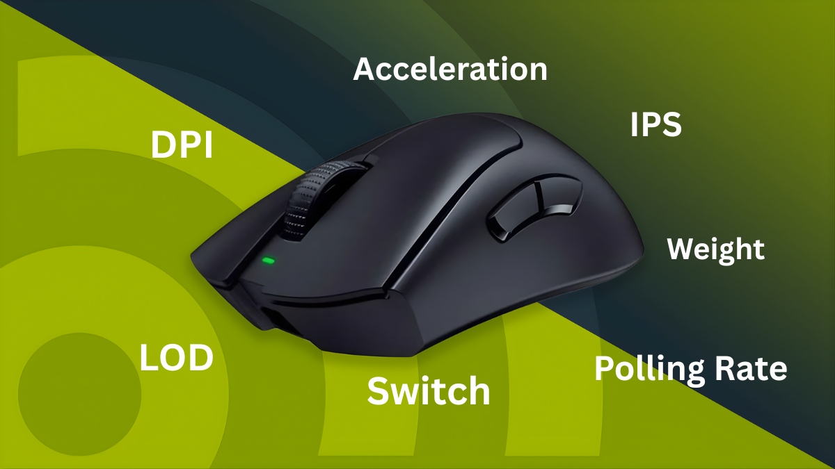 Những thông số quan trọng nhất của chuột trước khi quyết định mua